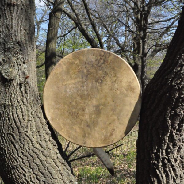 22" Shaman Drum - Dama Deer Hide - Traditional Shamanic Instrument