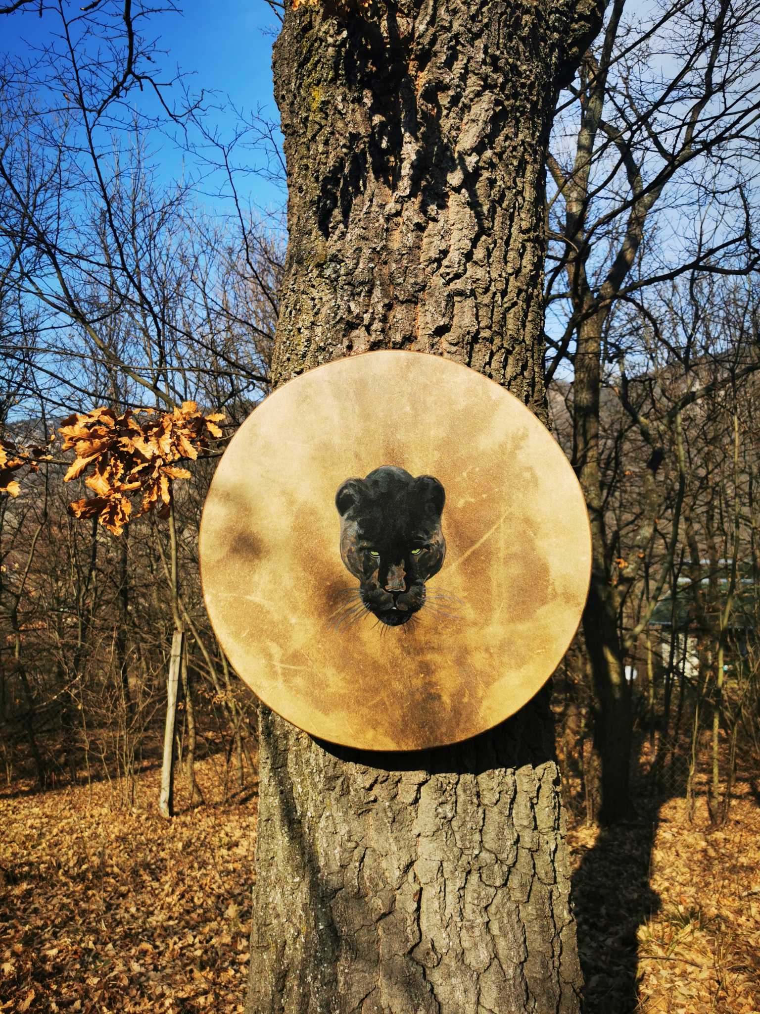 RESERVED-23" Handcrafted Shaman Drum - Deer Hide Shamanic Drum- Power Animals - Image 2