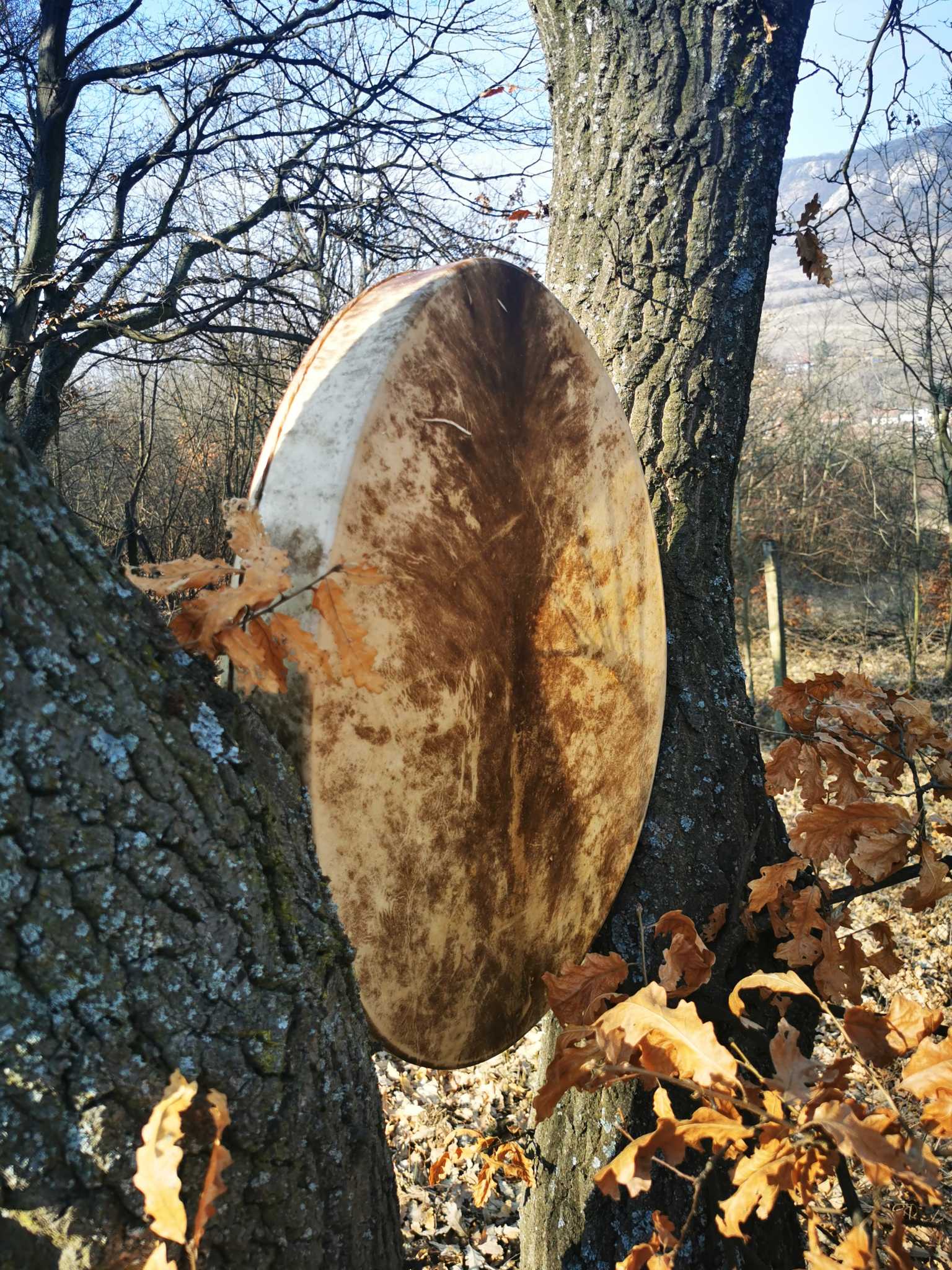 23" Handcrafted Shaman Drum - Deer Hide Shamanic Drum- Shamanic Tool - Saami Drum - Image 5