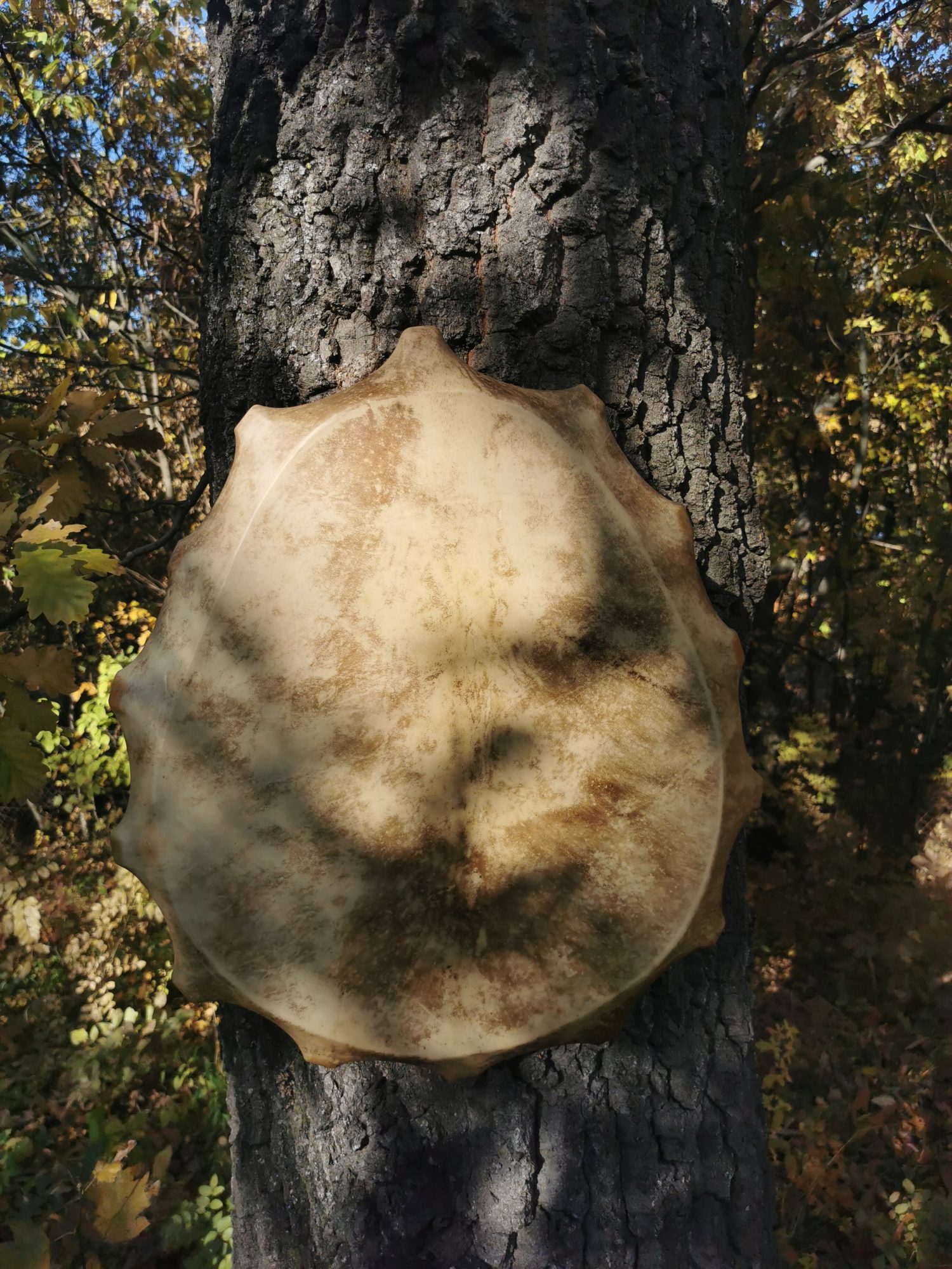 21" Shaman Drum - Red Deer Hide - Traditional Shamanic Instrument - Medicine Drum - Image 7