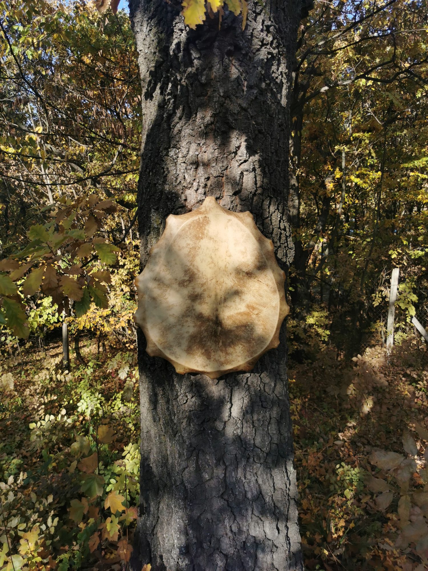 21" Shaman Drum - Red Deer Hide - Traditional Shamanic Instrument - Medicine Drum - Image 4