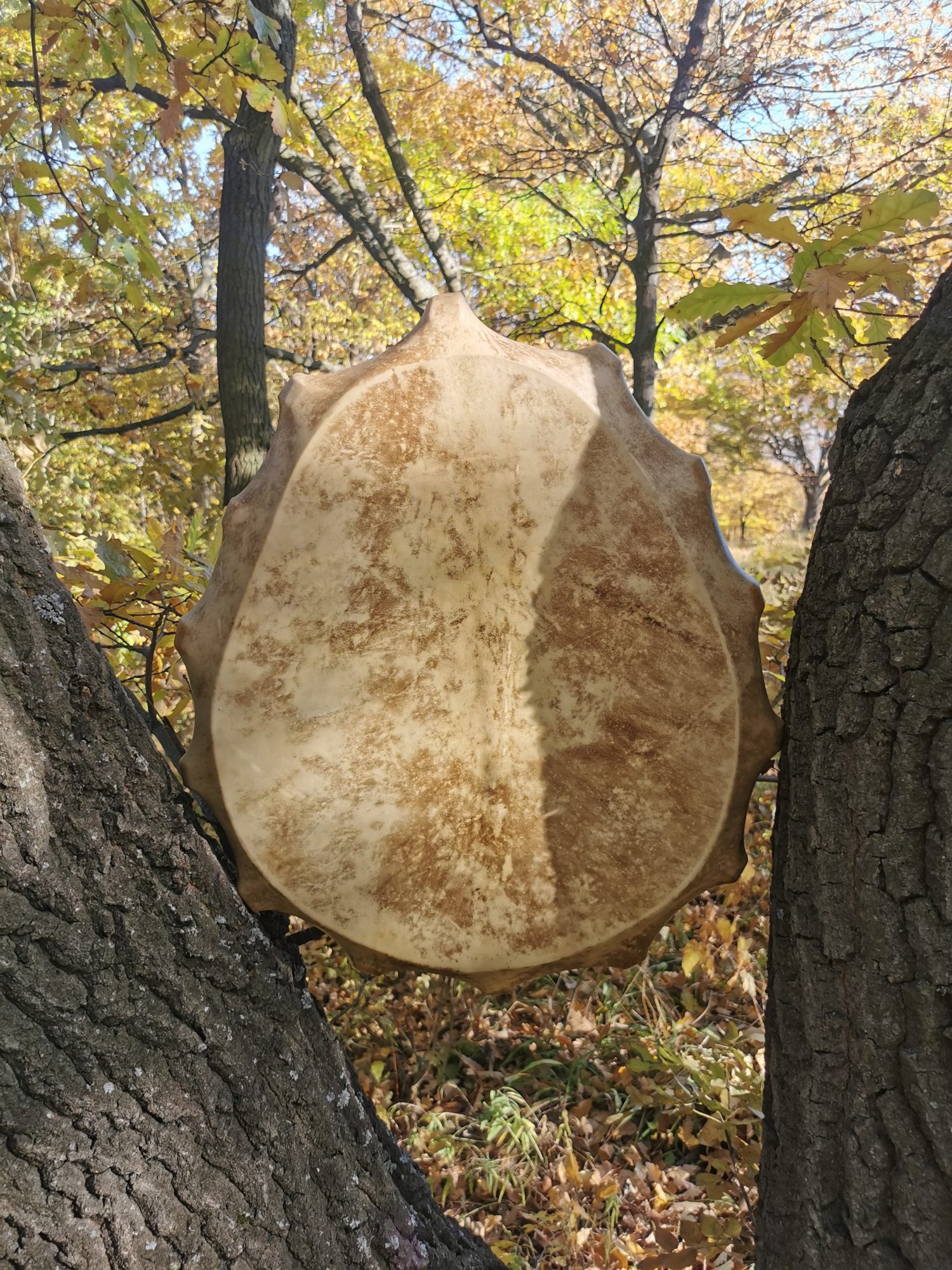 21" Shaman Drum - Red Deer Hide - Traditional Shamanic Instrument - Medicine Drum