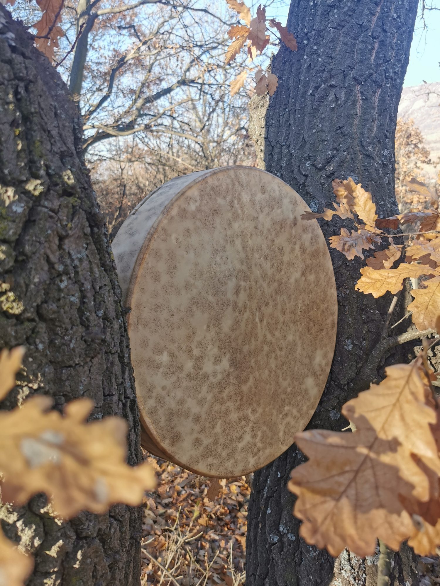 14" Goat Hide Shaman Drum - Traditional Shaman Drum - Medicine Drum - Travel Drum - Image 4