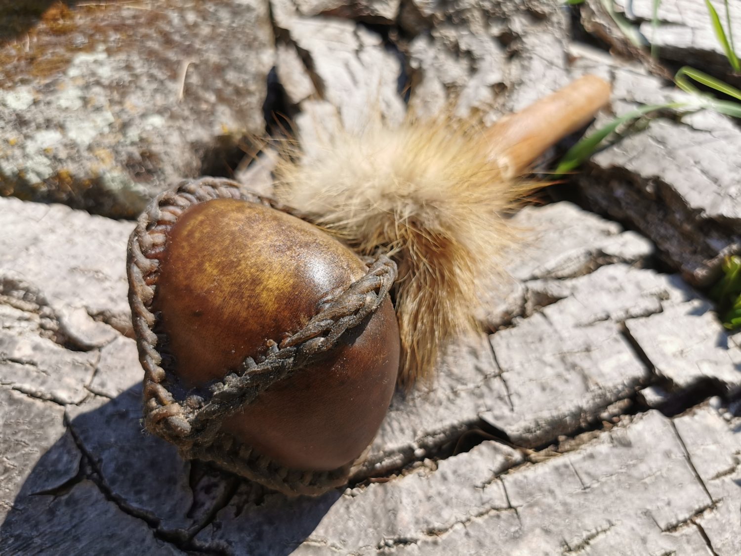 Shamanic Rattle - Shaker - Rawhide Rattle - Horse Hide Rattle - Shamanic tool - Shipping Included