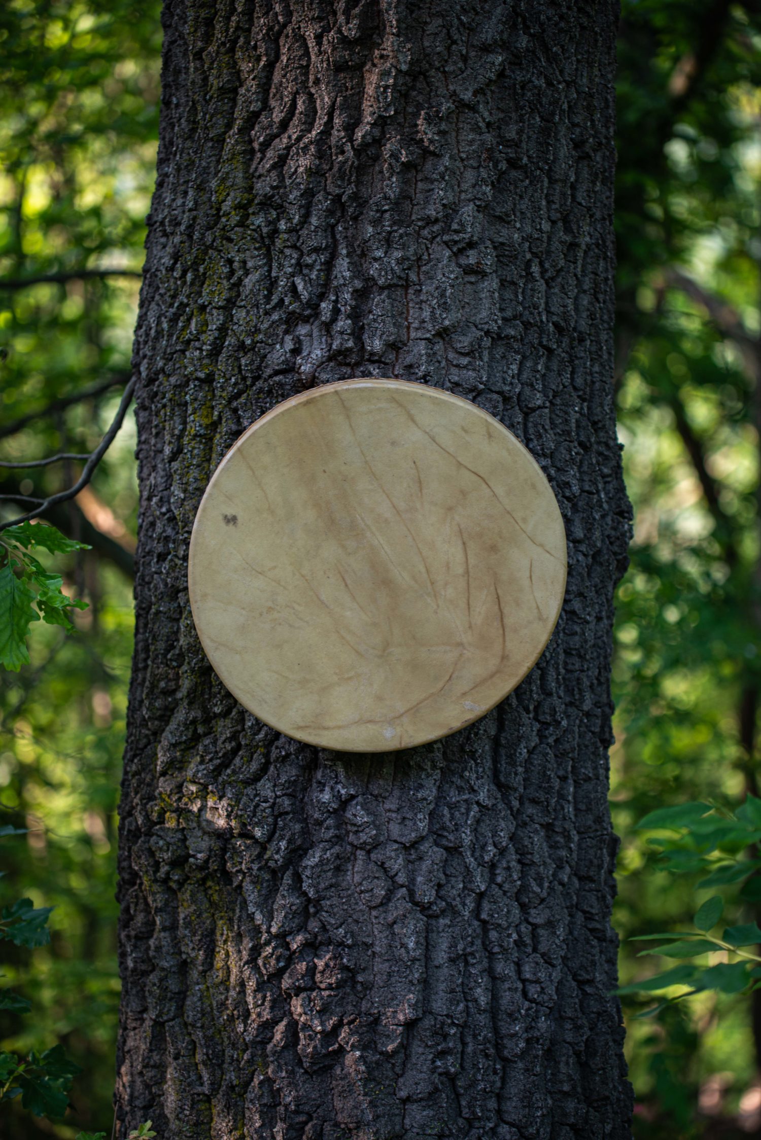 13" Goat Hide Shaman Drum - Traditional Shaman Drum - Medicine Drum - Travel Drum - Image 5