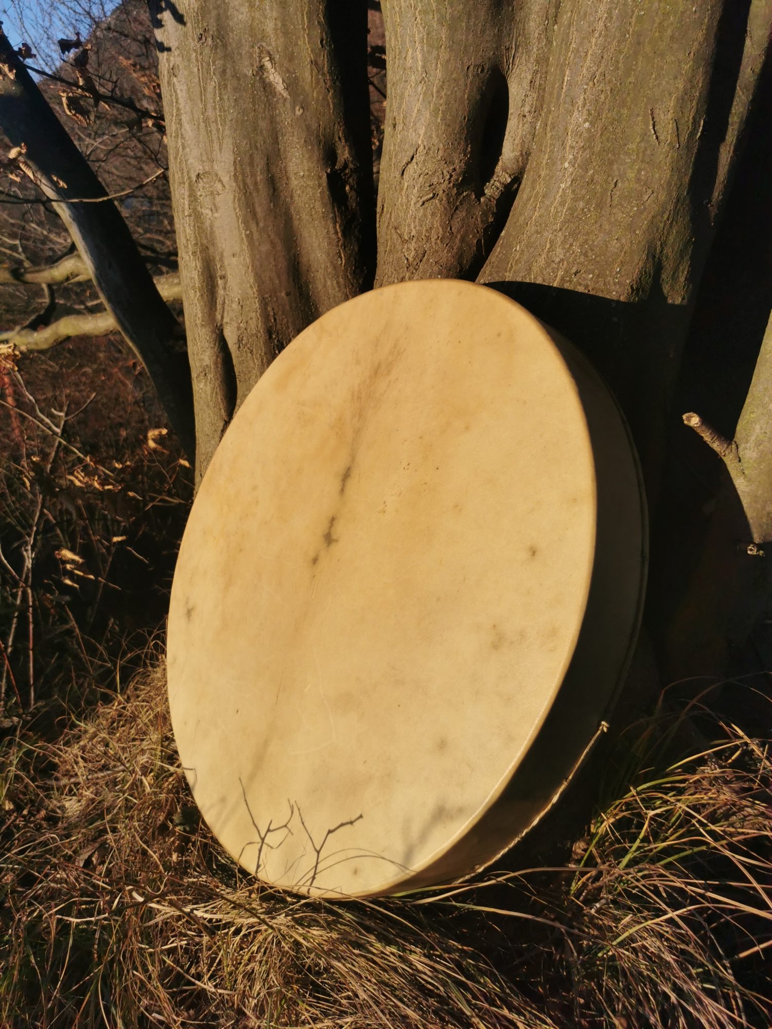 24" Shaman Drum - Red Deer Hide - Traditional Shamanic Instrument - Medicine Drum - Image 6