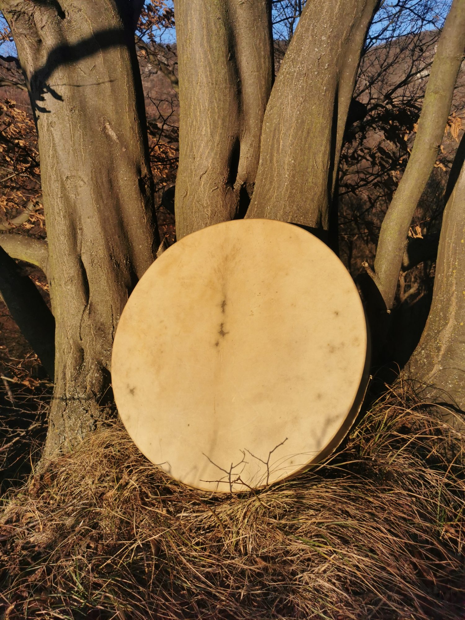 24" Shaman Drum - Red Deer Hide - Traditional Shamanic Instrument - Medicine Drum - Image 5