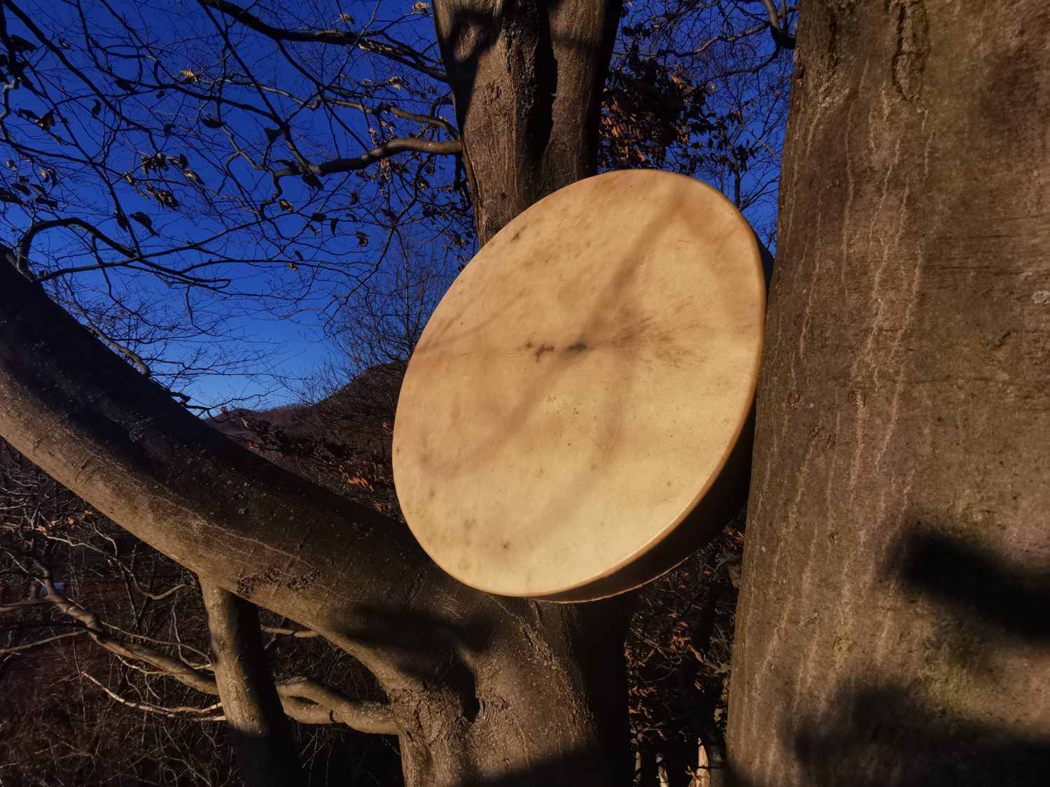 24" Shaman Drum - Red Deer Hide - Traditional Shamanic Instrument - Medicine Drum - Image 3