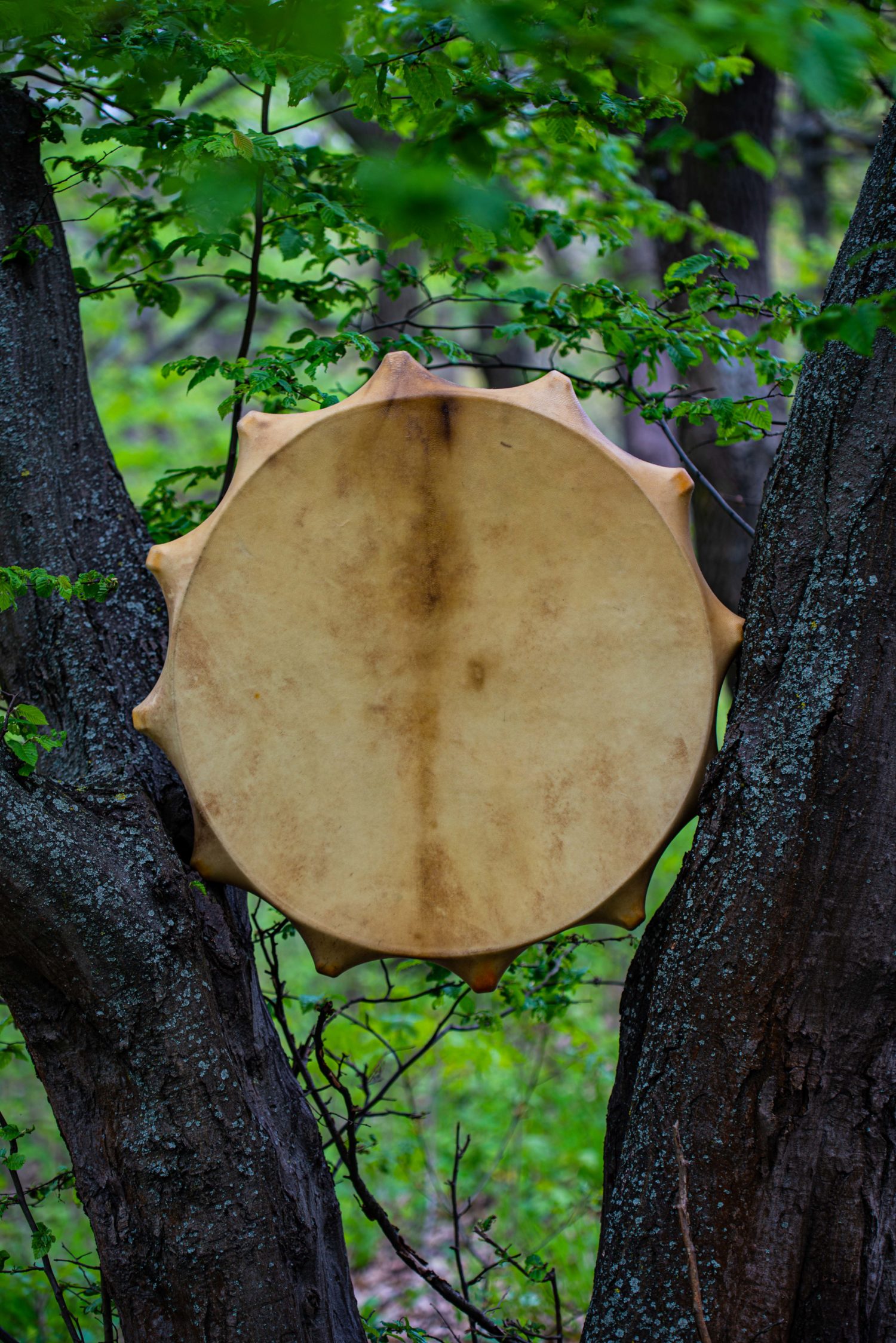 24" Shaman Drum - Traditional Shamanic Instrument - Medicine Drum