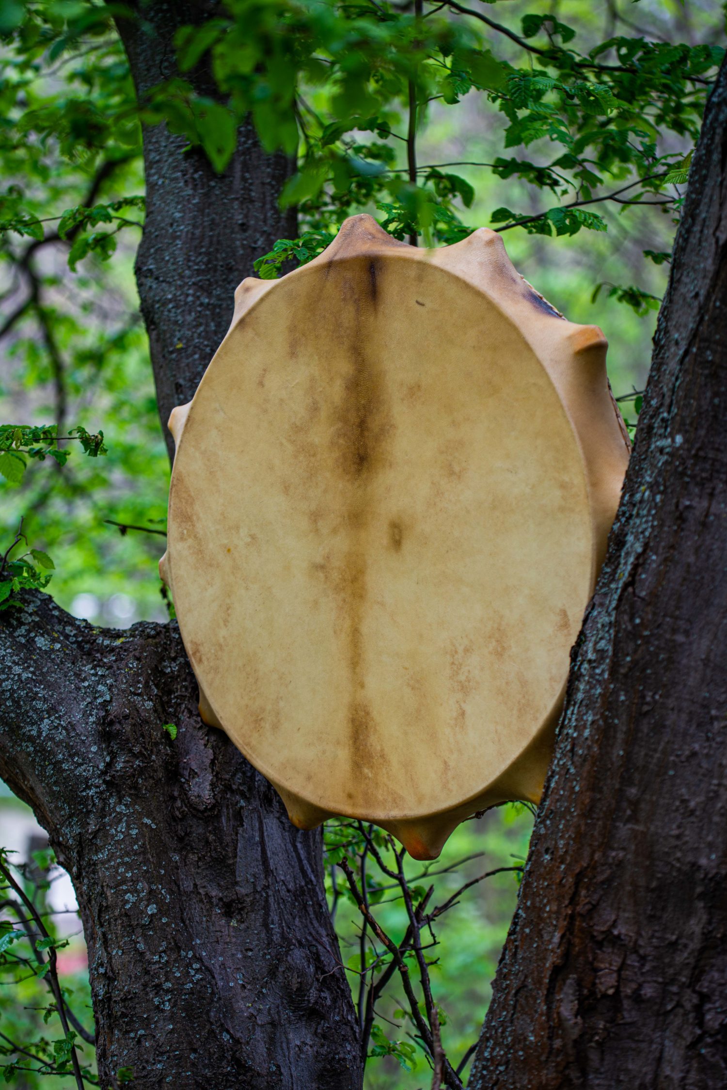 24" Shaman Drum - Traditional Shamanic Instrument - Medicine Drum - Image 3