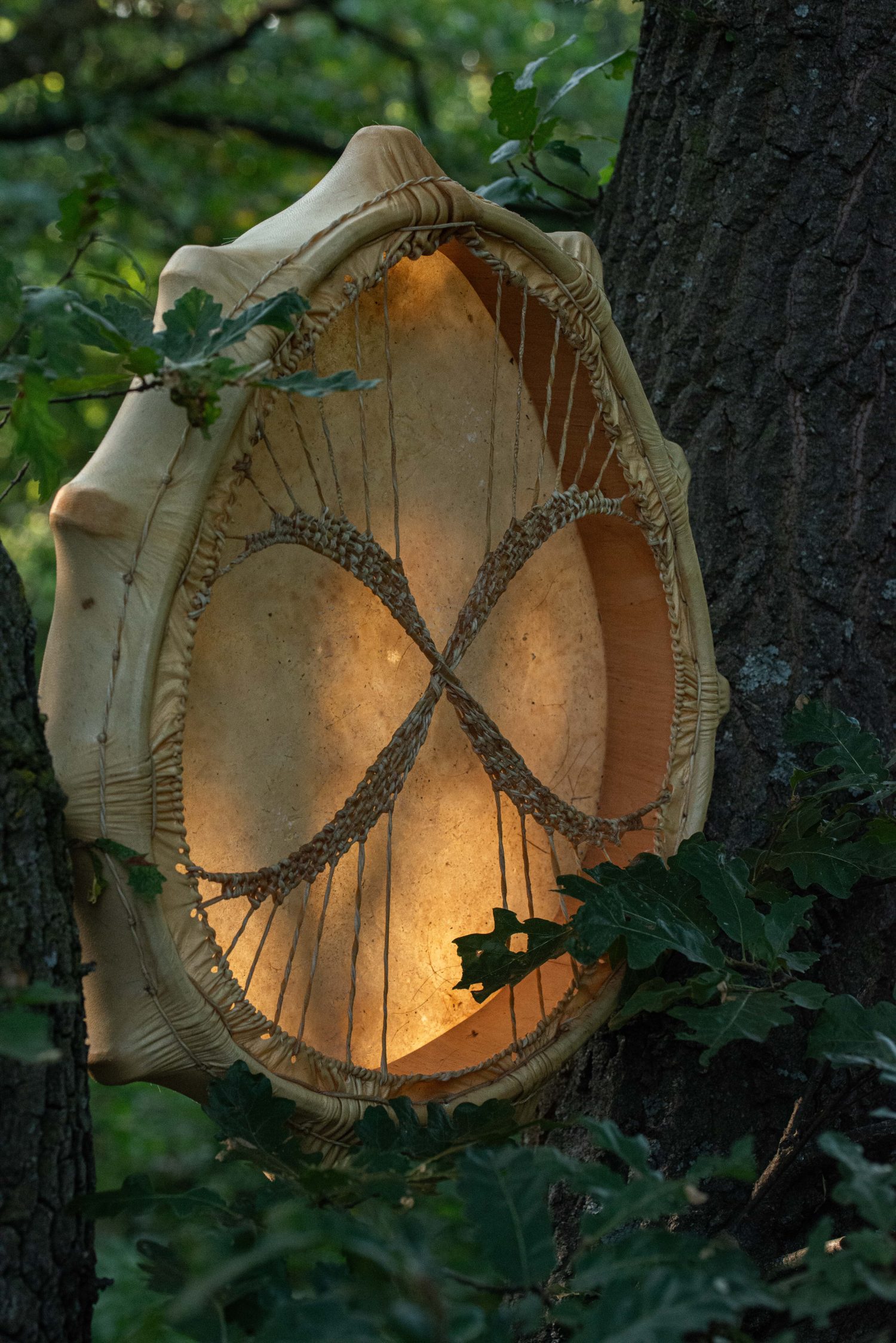 22" Shaman Drum - Goat Hide - Traditional Shamanic Instrument - Medicine Drum - Image 5