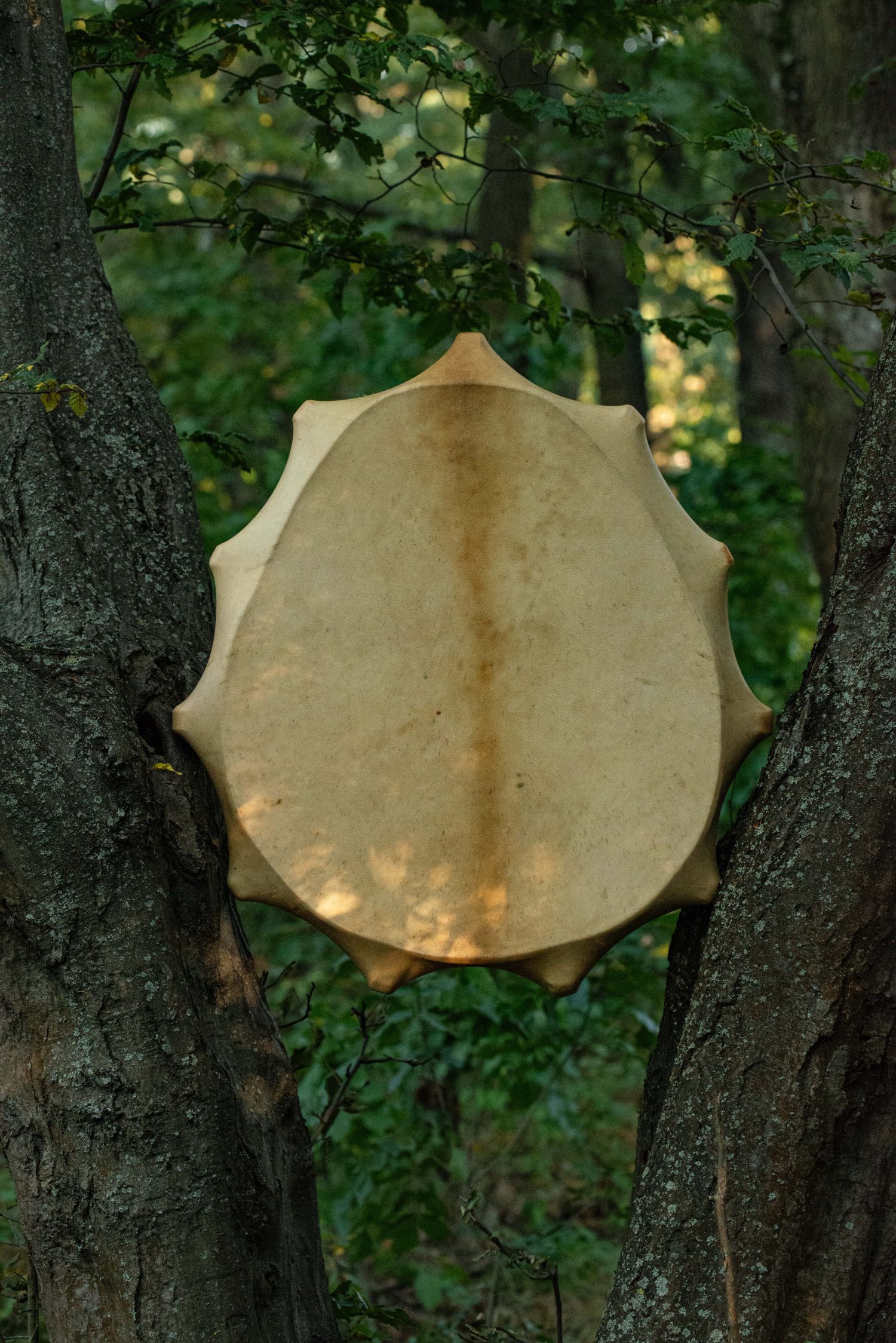 22" Shaman Drum - Goat Hide - Traditional Shamanic Instrument - Medicine Drum