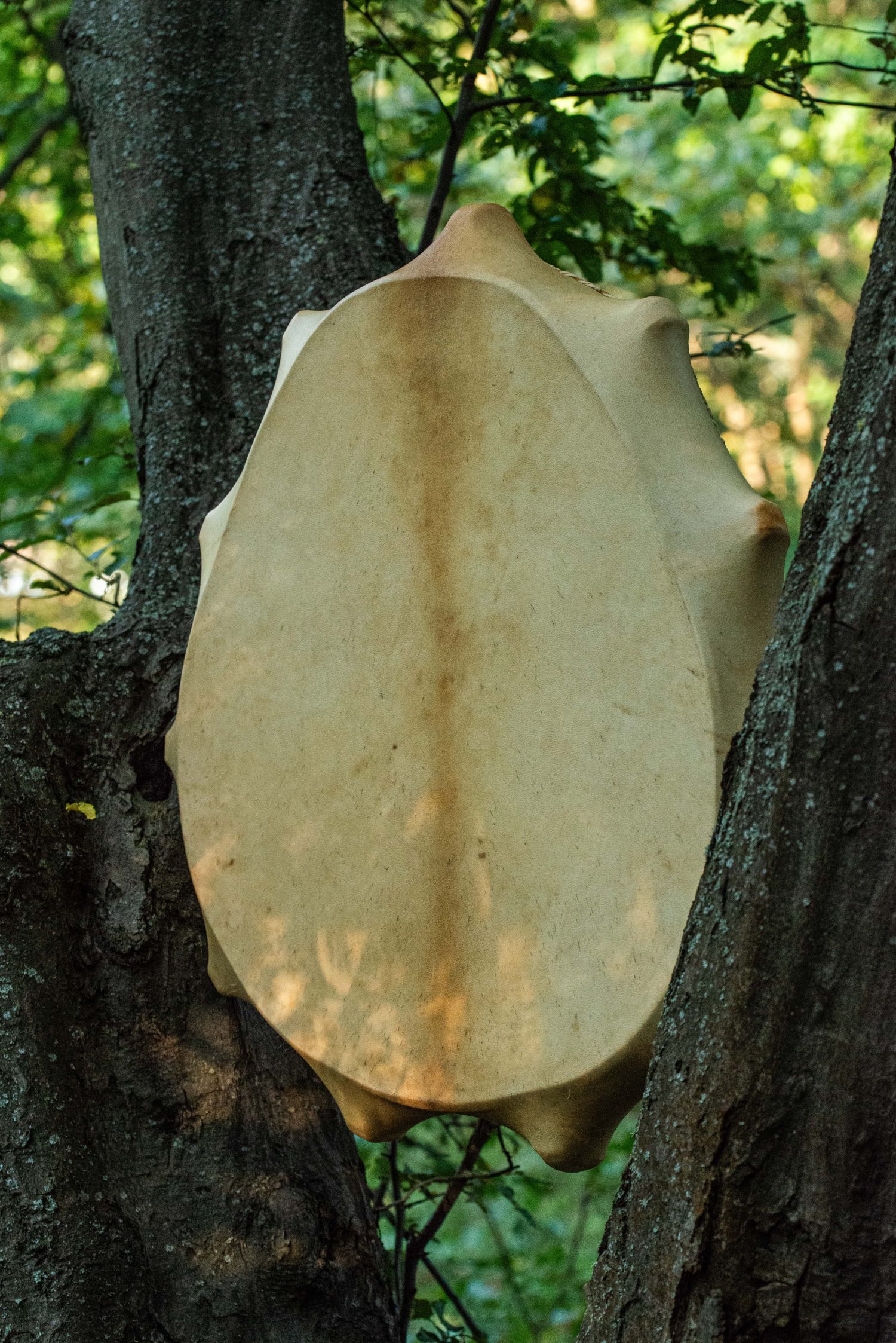 22" Shaman Drum - Goat Hide - Traditional Shamanic Instrument - Medicine Drum - Image 7