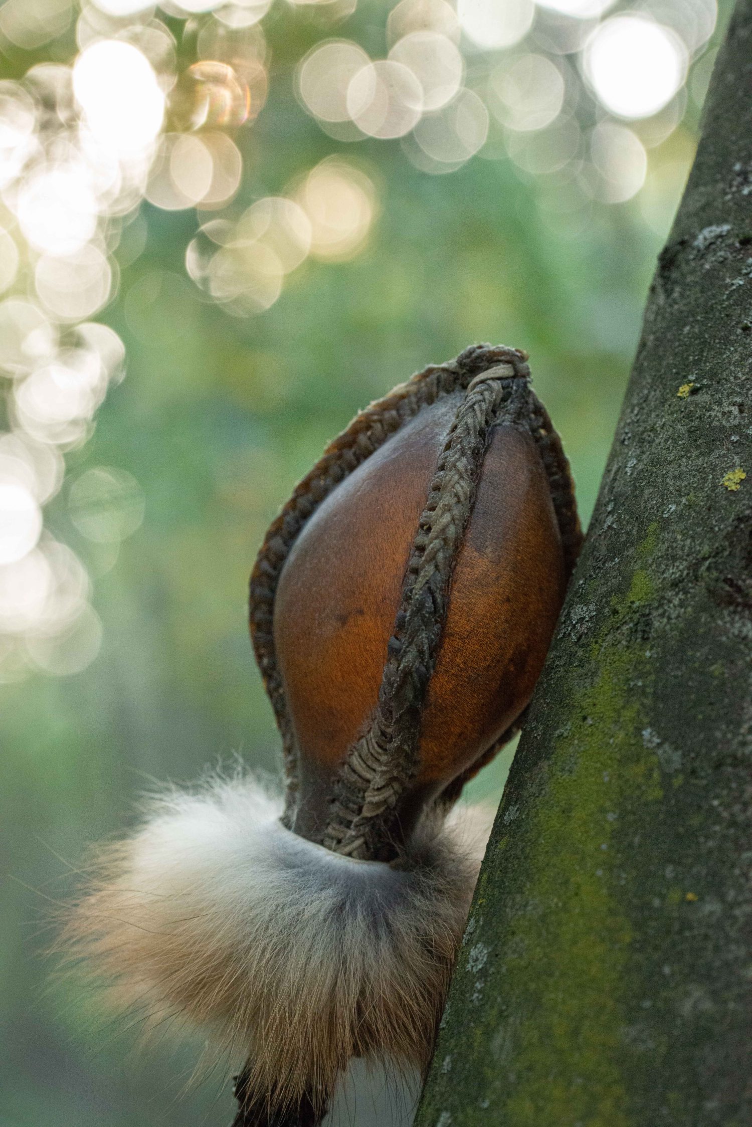 Shamanic Rattle - Shaker - Rawhide Rattle - Horse Hide Rattle - Shamanic tool - Shipping Included - Image 5