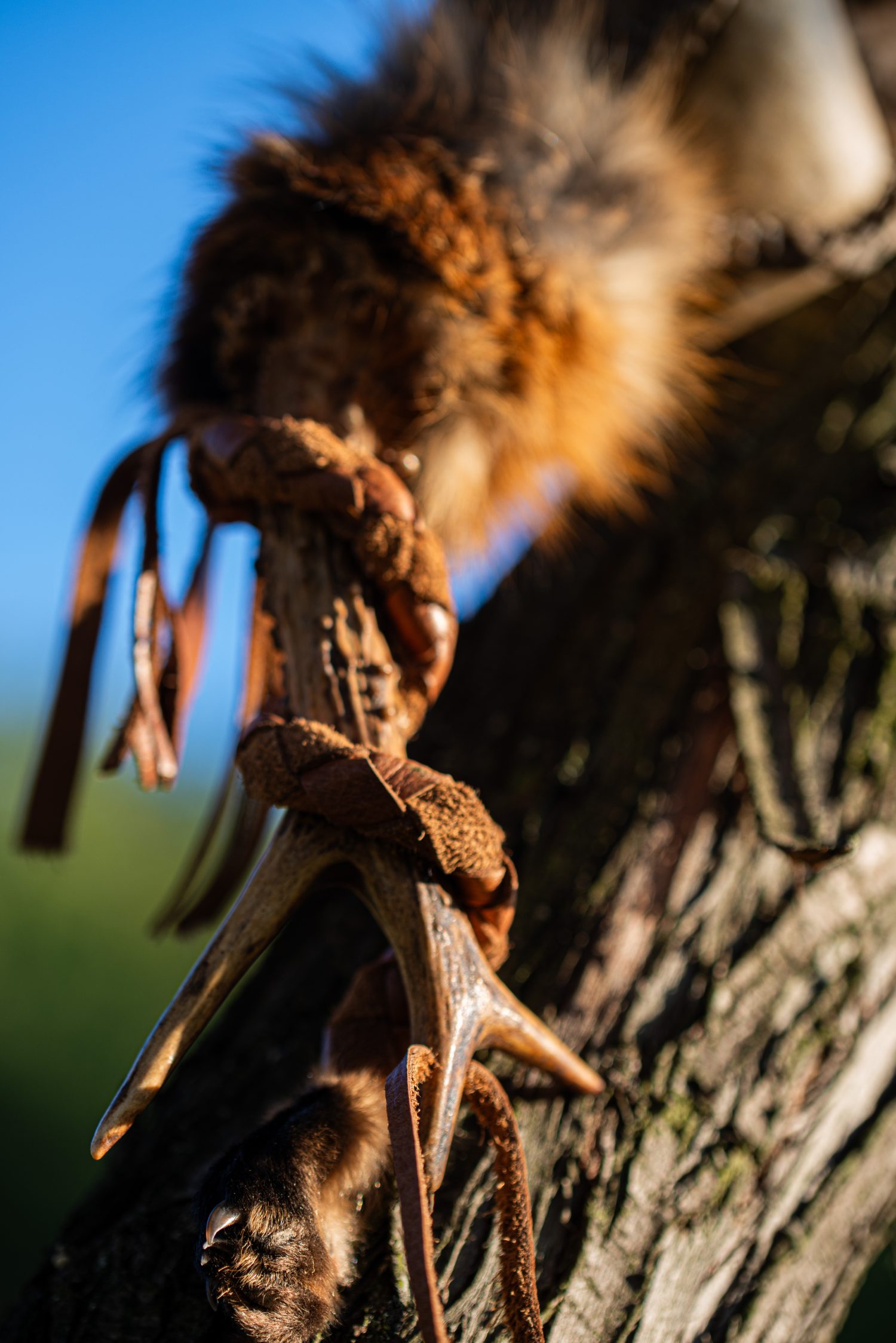 Shamanic Rattle - Shaker - Rawhide Rattle - Horse Hide Rattle - Shamanic tool - Shipping Included - Image 5