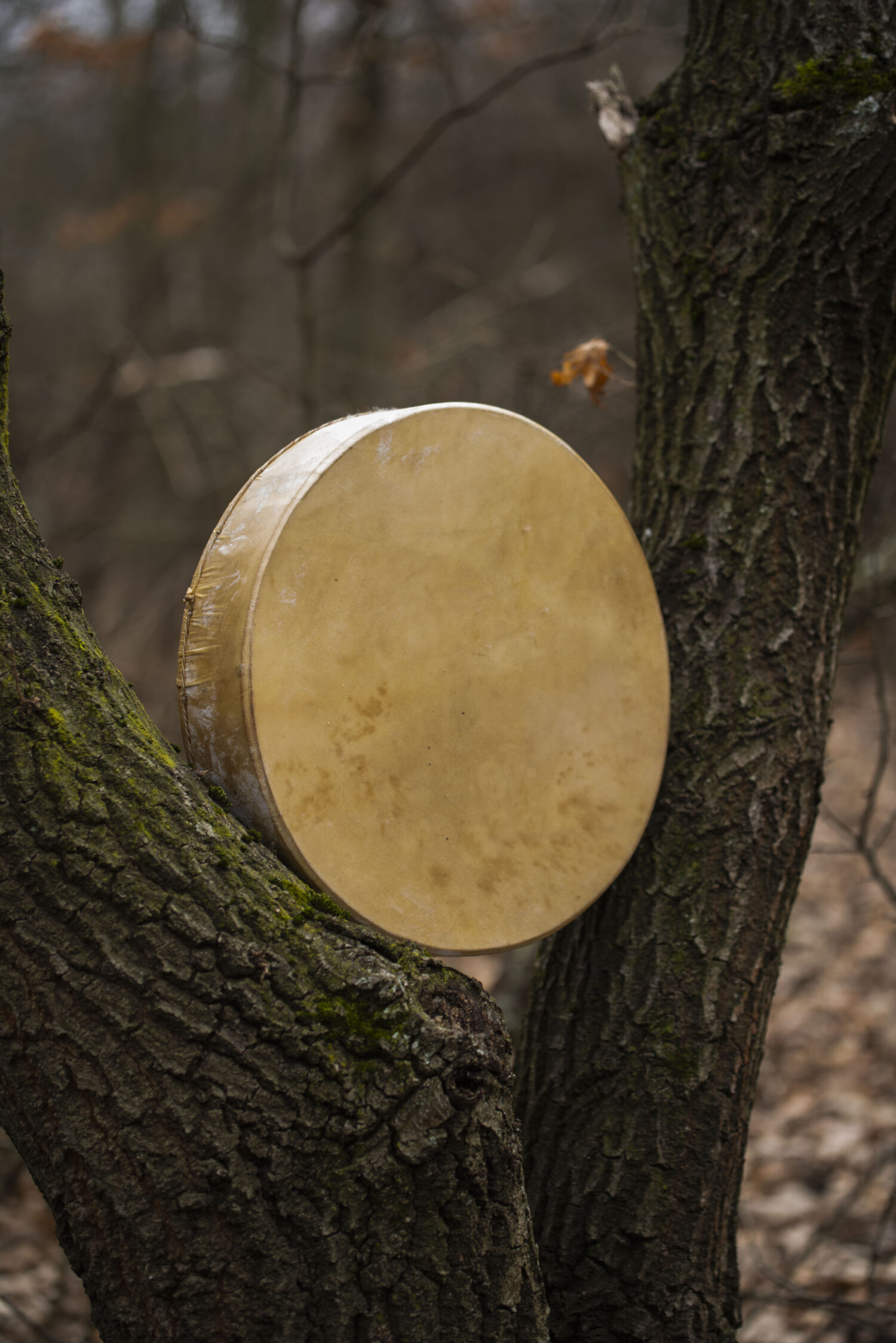 13" Handcrafted Shaman Drum - Goat Hide Shamanic Drum- Shamanic Tool - Image 3