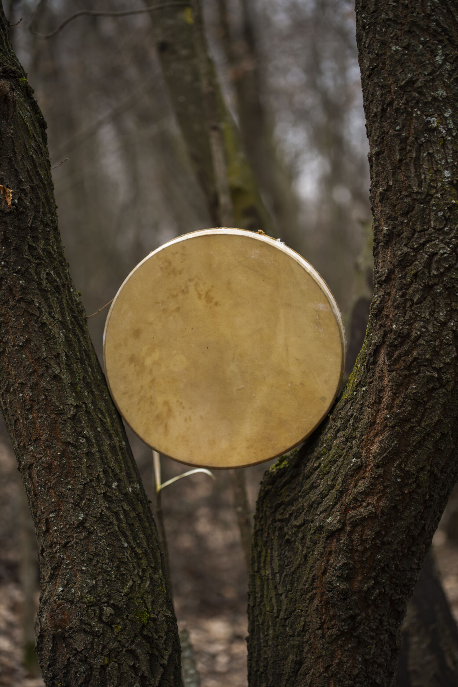 13" Handcrafted Shaman Drum - Goat Hide Shamanic Drum- Shamanic Tool - Image 4