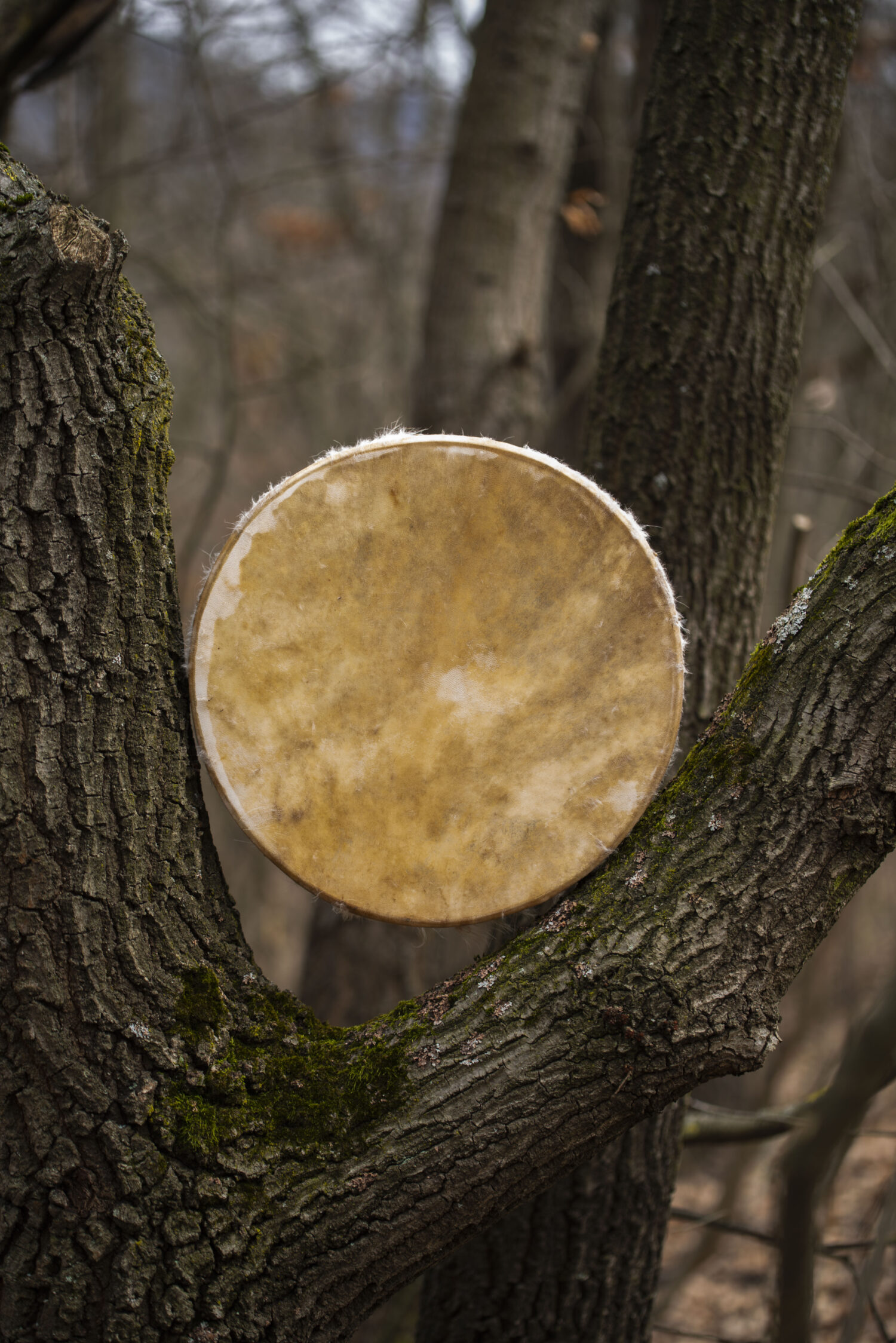 13" Handcrafted Shaman Drum - Goat Hide Shamanic Drum- Shamanic Tool - Image 5