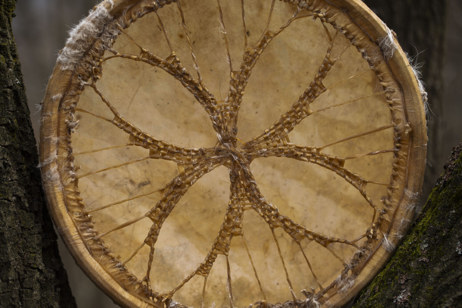 13" Handcrafted Shaman Drum - Goat Hide Shamanic Drum- Shamanic Tool - Image 6