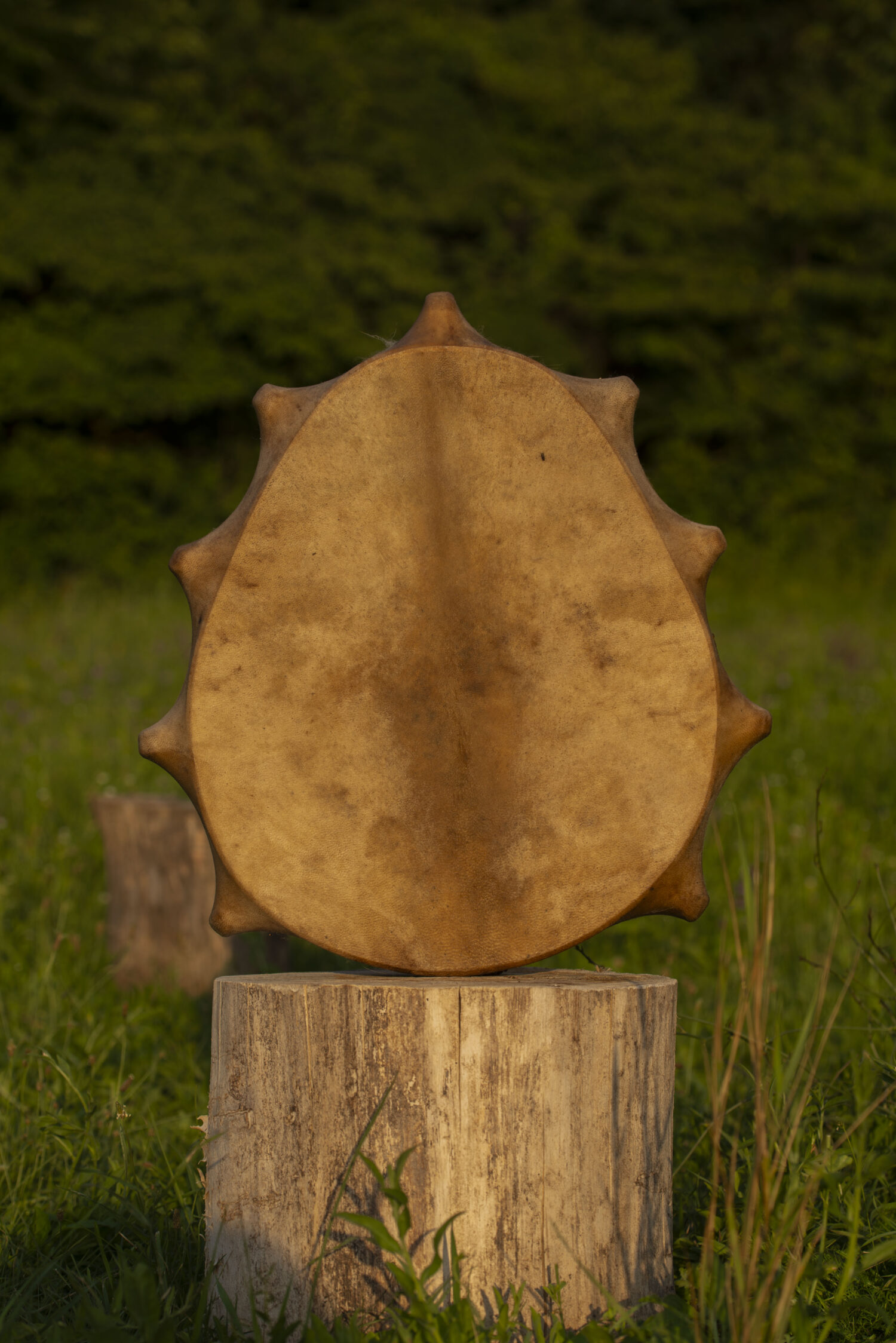 21" Shaman Drum - Goat Hide - Traditional Shamanic Instrument - Medicine Drum - Image 3