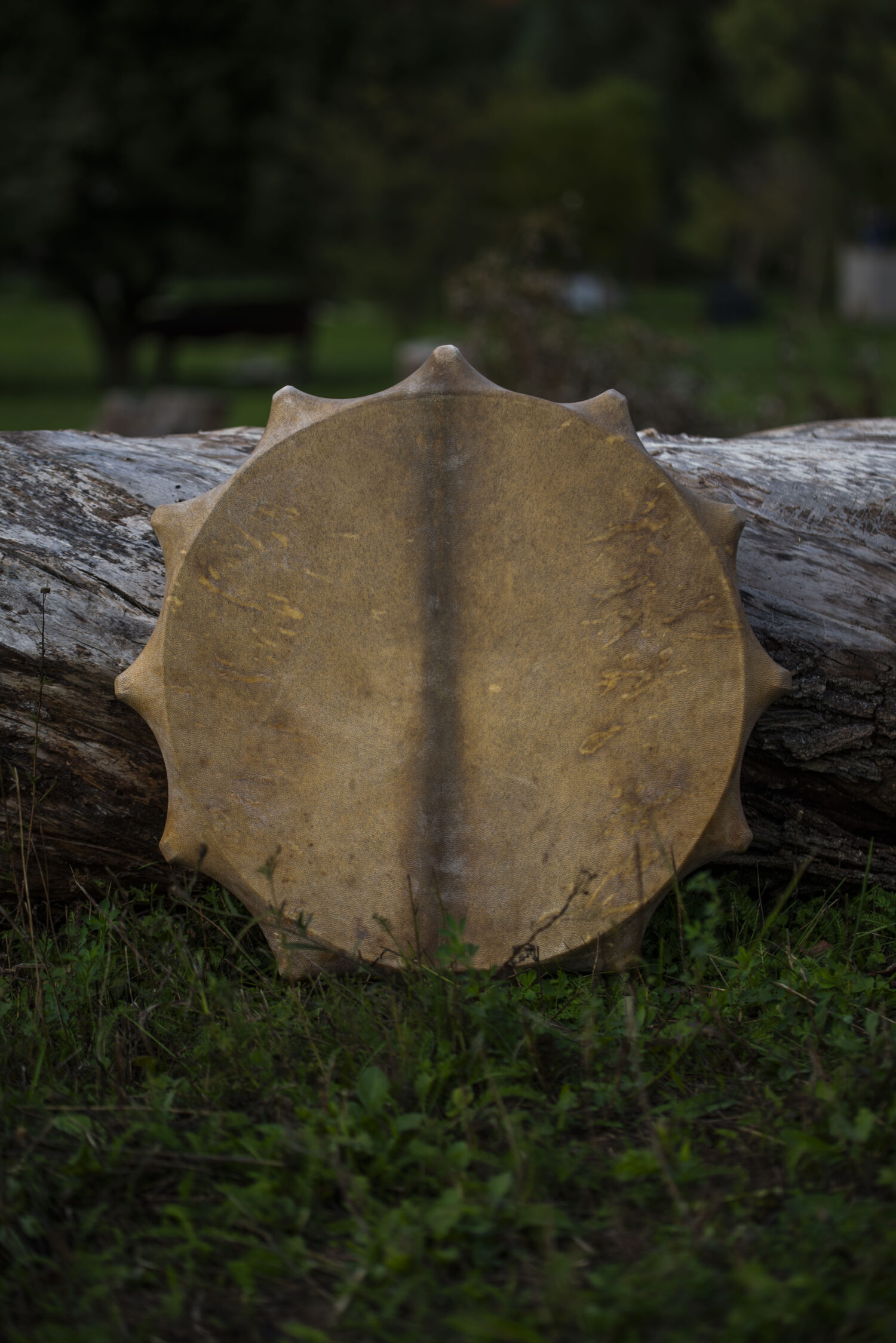 22" Shaman Drum - Goat Hide - Traditional Shamanic Instrument - Medicine Drum