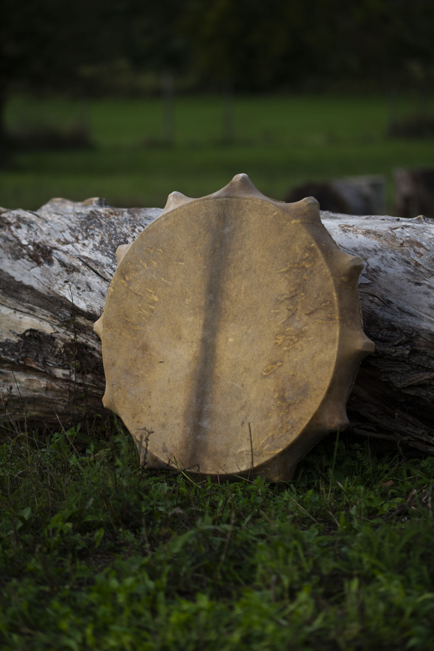 22" Shaman Drum - Goat Hide - Traditional Shamanic Instrument - Medicine Drum - Image 3