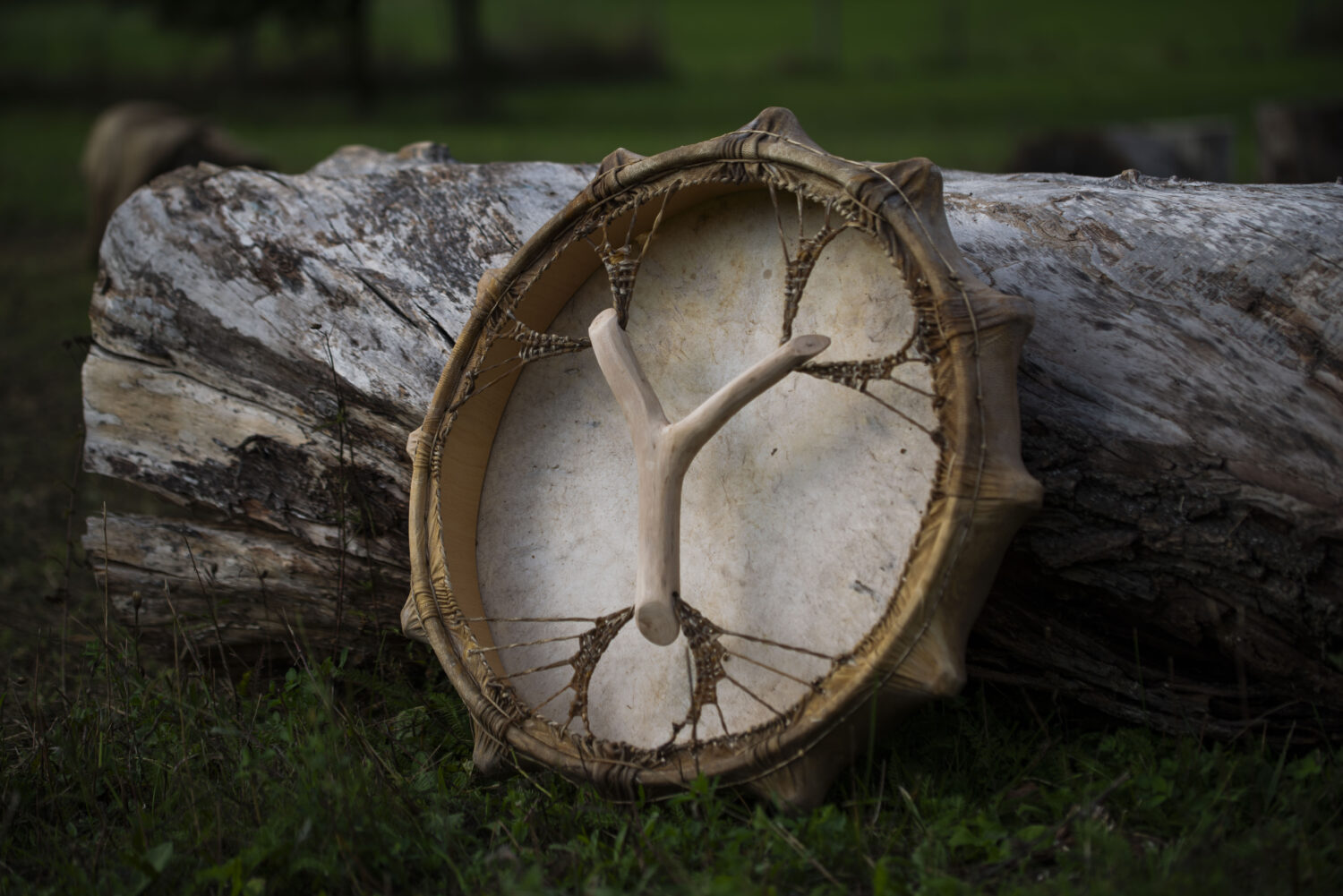 22" Shaman Drum - Goat Hide - Traditional Shamanic Instrument - Medicine Drum - Image 5