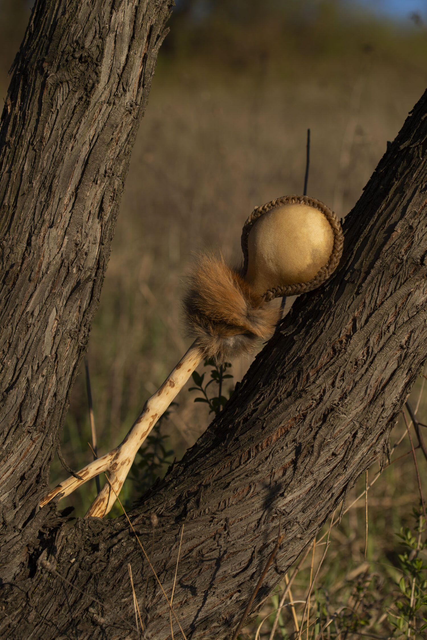 Shamanic Rattle - Shaker - Rawhide Rattle - Wild Boar Hide Rattle - Shamanic tool - Shipping Included