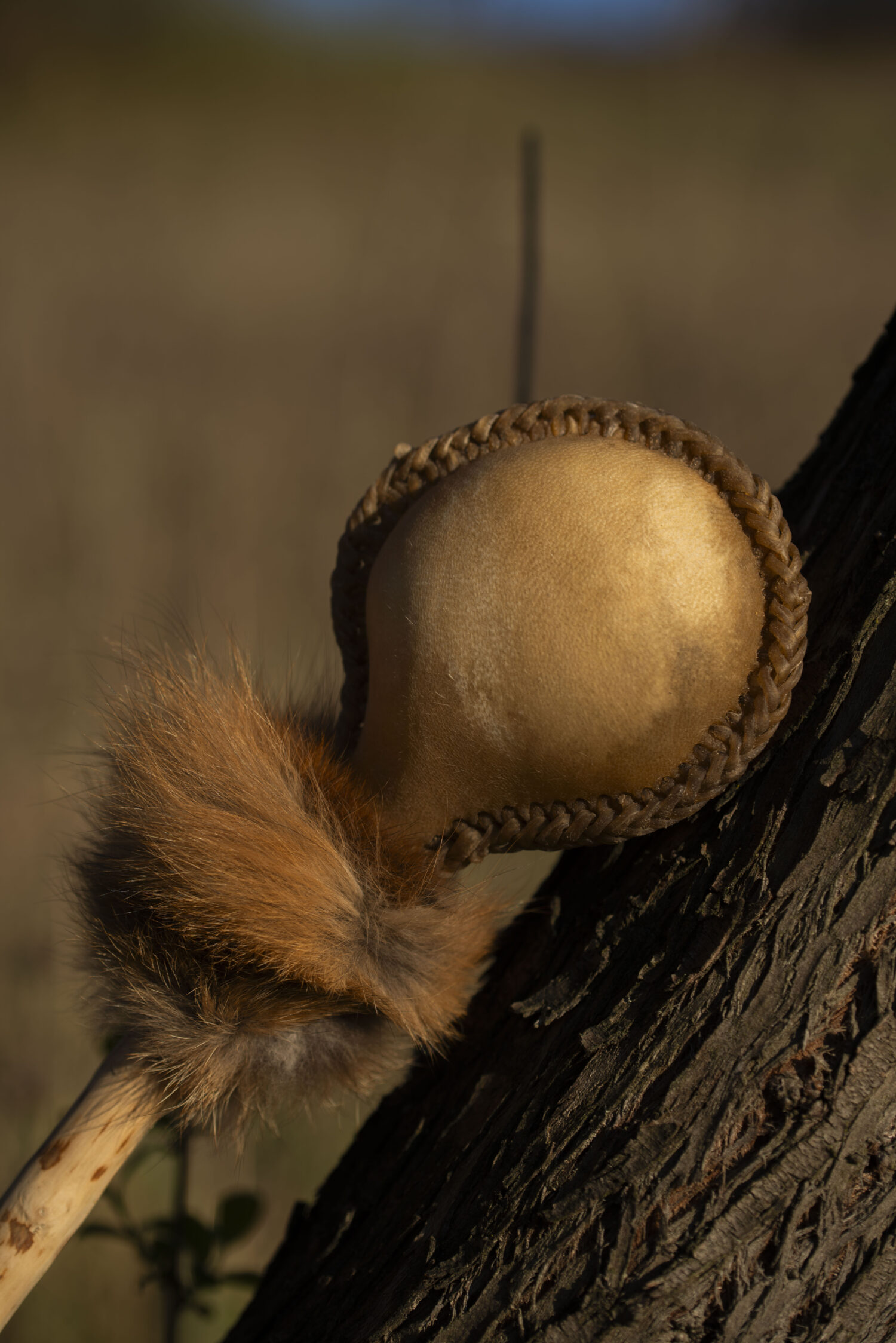 Shamanic Rattle - Shaker - Rawhide Rattle - Wild Boar Hide Rattle - Shamanic tool - Shipping Included - Image 3
