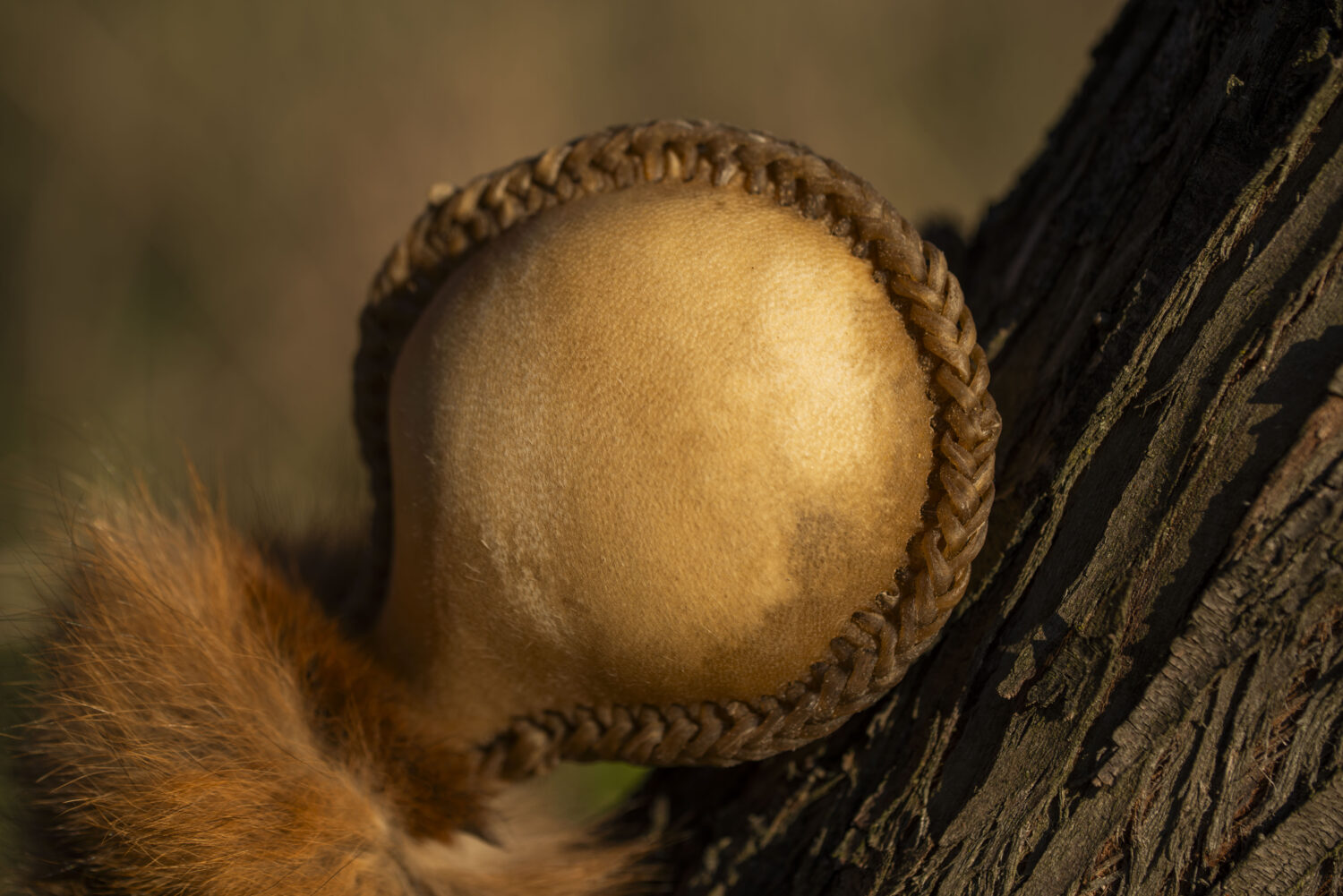 Shamanic Rattle - Shaker - Rawhide Rattle - Wild Boar Hide Rattle - Shamanic tool - Shipping Included - Image 4