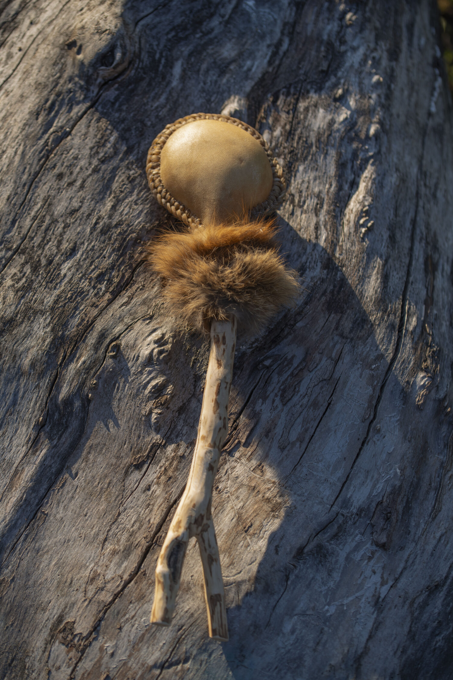 Shamanic Rattle - Shaker - Rawhide Rattle - Wild Boar Hide Rattle - Shamanic tool - Shipping Included - Image 5