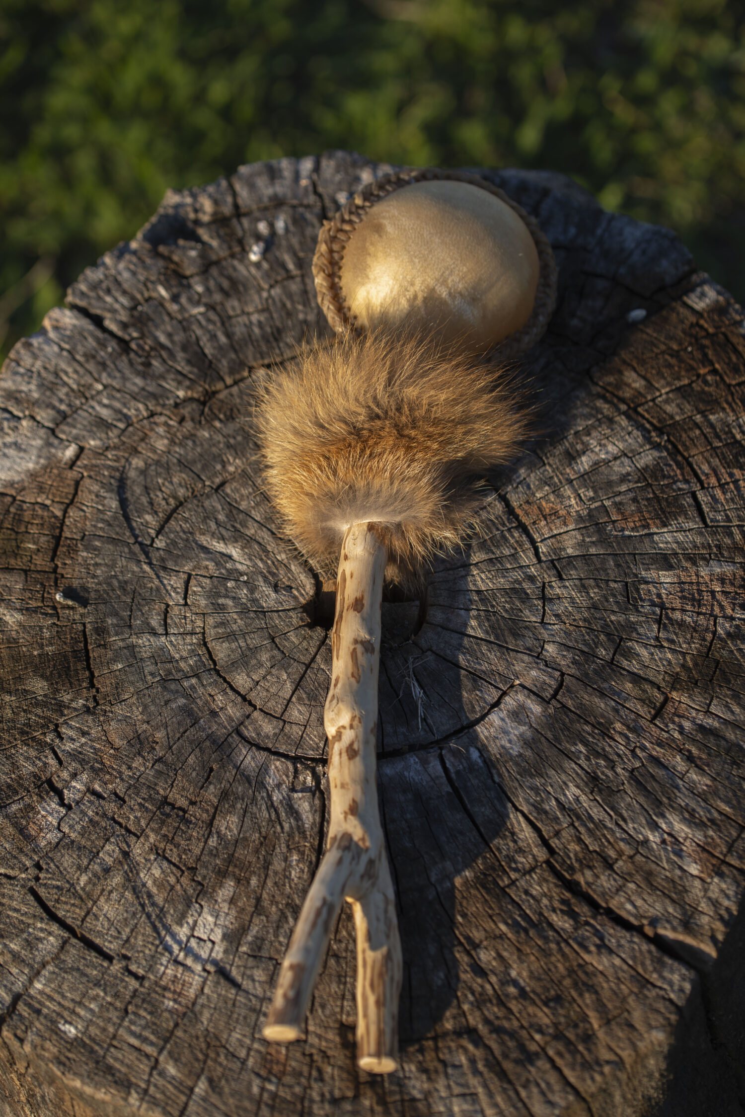 Shamanic Rattle - Shaker - Rawhide Rattle - Wild Boar Hide Rattle - Shamanic tool - Shipping Included - Image 8