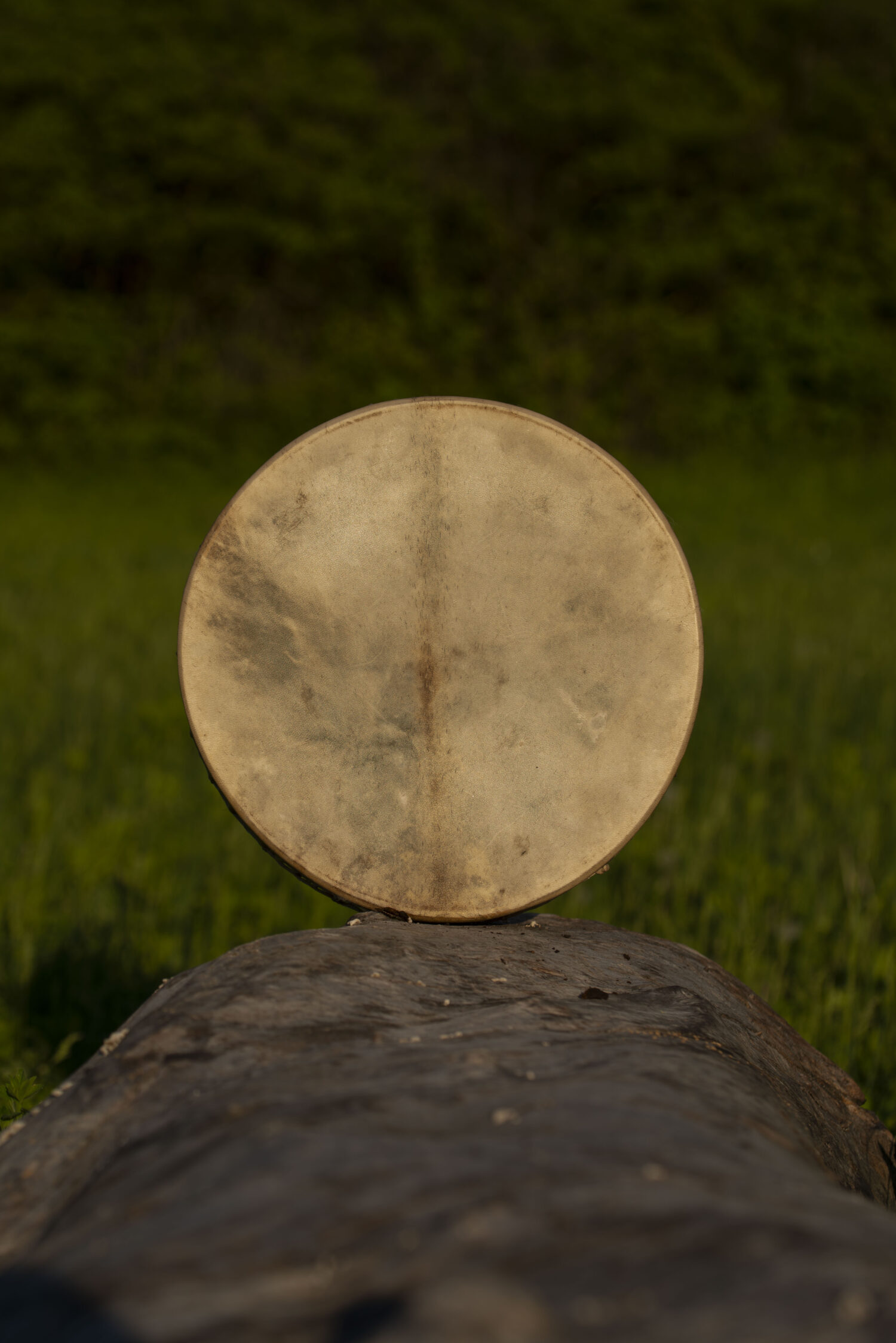 13" Handcrafted Shaman Drum - Goat Hide- Shamanic Tool - Image 3